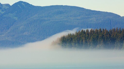 Juneau bevat bossen en mist of nevel