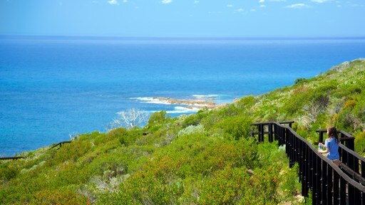 Cape Naturaliste Lighthouse showing landscape views and general coastal views as well as an individual child