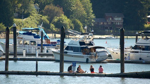 Bainbridge Island toont een jachthaven en een baai of haven