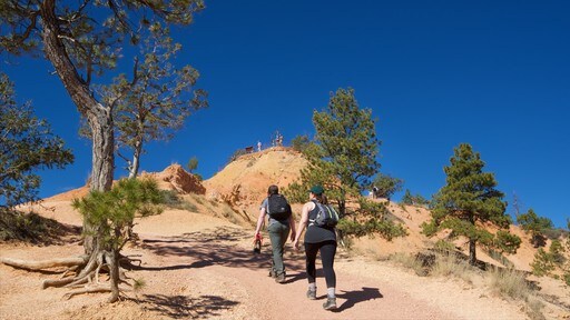 Queens Garden Trailhead toont vredige uitzichten en hiken of wandelen en ook een stel