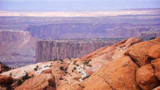 Upheaval Dome inclusief vredige uitzichten, een kloof of ravijn en landschappen