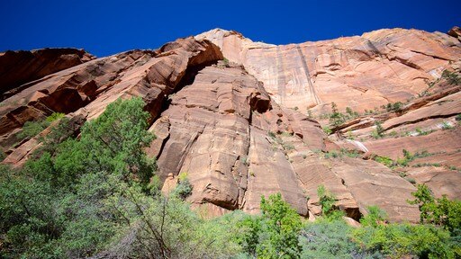 Zion Nationalpark