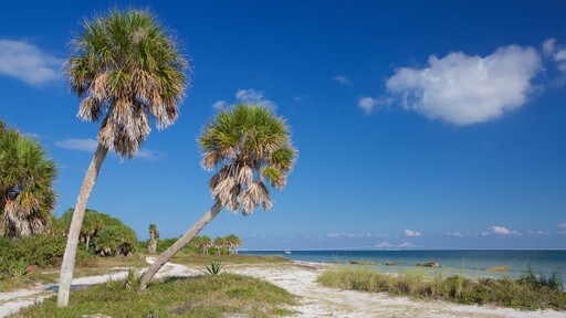 St. Petersburg - Clearwater som visar en strand
