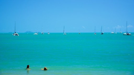 Airlie Beach bevat tropische uitzichten en algemene kustgezichten en ook een stel