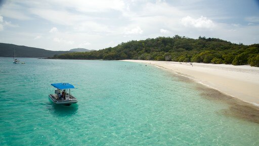 Whitsunday Island