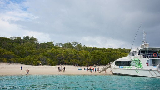 Whitsunday Island presenterar kustutsikter och en sandstrand