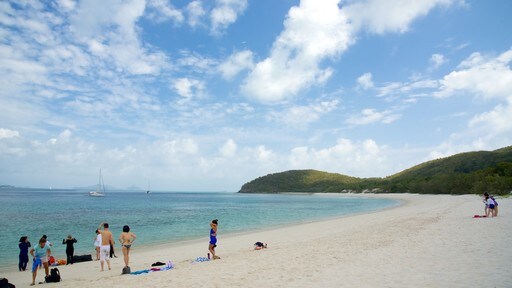 เกาะแฮมิลตัน ซึ่งรวมถึง ชายหาด, ทิวทัศน์เขตร้อน และ ชายฝั่งทะเล
