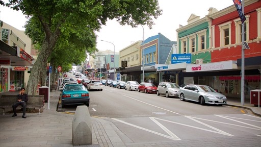 New Plymouth showing street scenes and city views