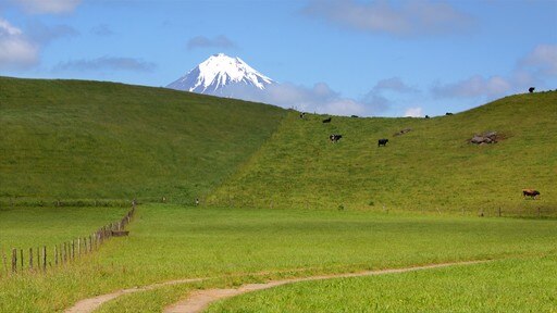New Plymouth showing mountains and farmland