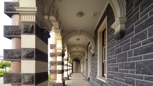 Dunedin