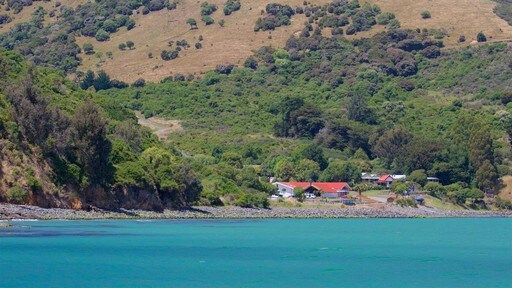 Pelabuhan Akaroa menampilkan pelabuhan atau dermaga, kota pesisir dan pantai berkerikil