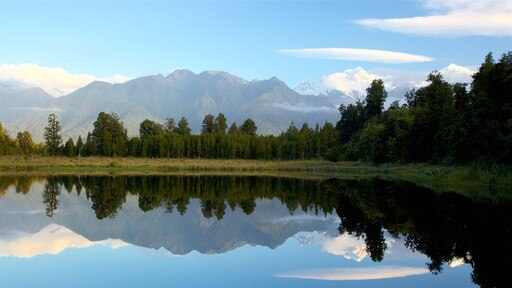 Fox Glacier