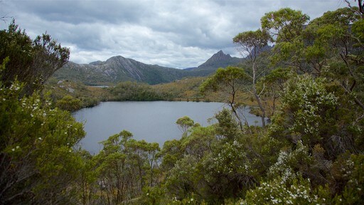 Cradle Mountain que incluye un lago o laguna y situaciones tranquilas