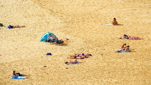 Newcastle East showing a beach as well as a large group of people