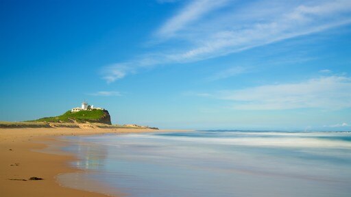 Newcastle East featuring a beach and general coastal views