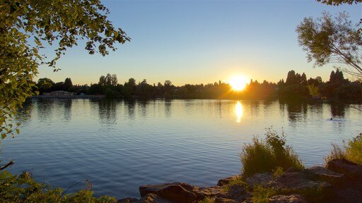 Seattle inclusief een zonsondergang en een meer of poel