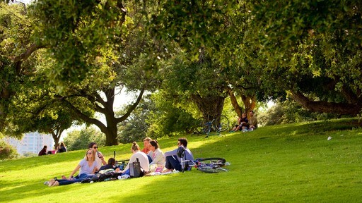 Lake Merritt bevat picknicken en een tuin en ook een klein groepje mensen