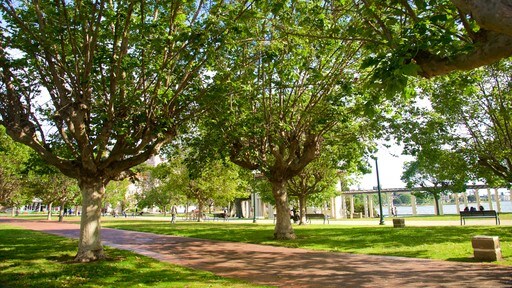 Lake Merritt toont een park
