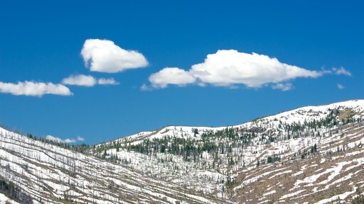 Noordwest-Wyoming toont vredige uitzichten en sneeuw