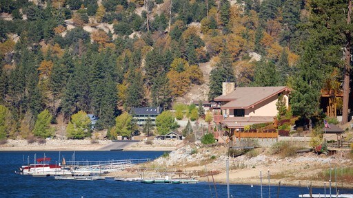 Big Bear Lake presenterar stillsam natur och en å eller flod