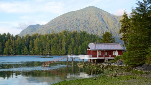 Tofino showing a lake or waterhole and tranquil scenes