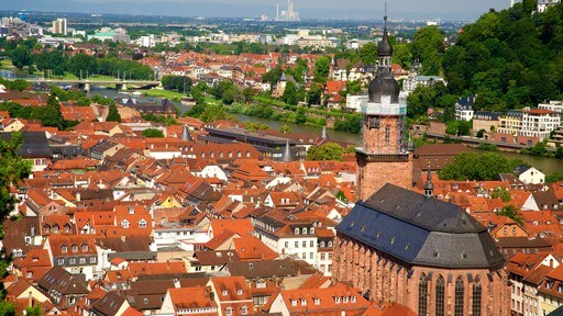 Heidelberg Heiliggeistkirche som visar en stad och historiska element