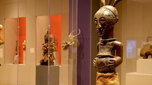 Minneapolis Institute of Arts featuring interior views