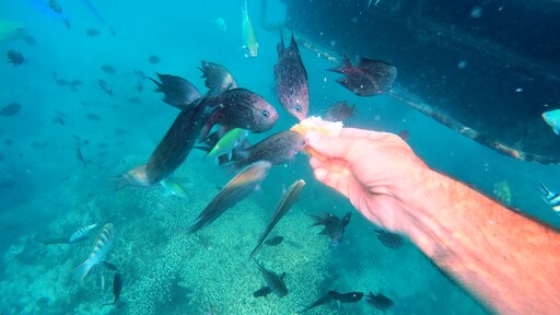 Port Vila