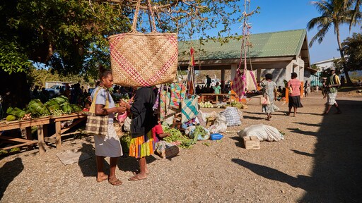 Tanna Island showing markets as well as a small group of people