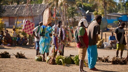 Tanna Island featuring markets as well as a small group of people