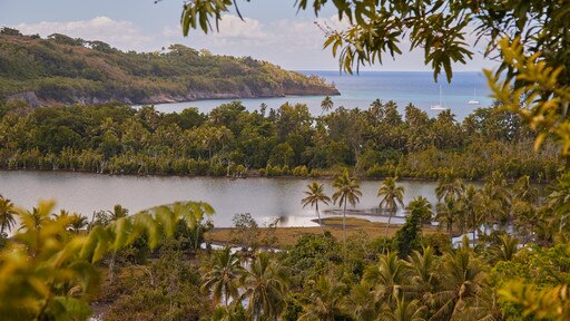 เกาะ Tanna ซึ่งรวมถึง แม่น้ำหรือลำธาร, ทิวทัศน์เขตร้อน และ ชายฝั่งทะเล