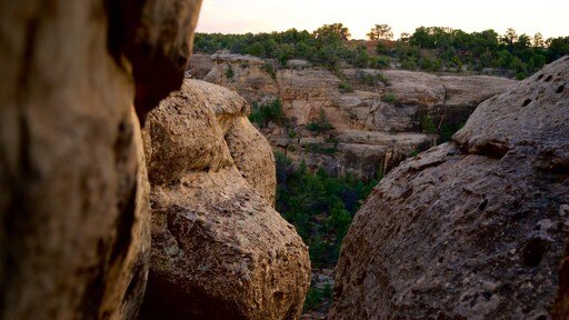 Mesa Verde National Park showing tranquil scenes