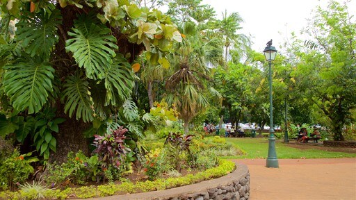 Society Islands showing a garden