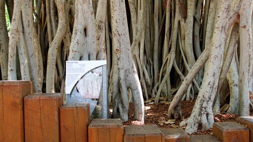 Southbank Parklands menampilkan papan petunjuk dan kebun