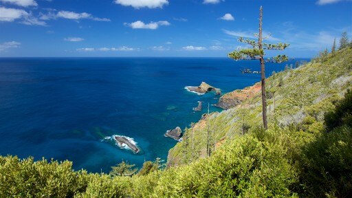 Norfolk Island National Park which includes general coastal views and rocky coastline