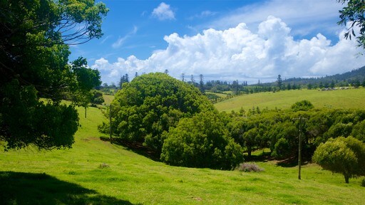 Norfolk Island which includes tranquil scenes and landscape views