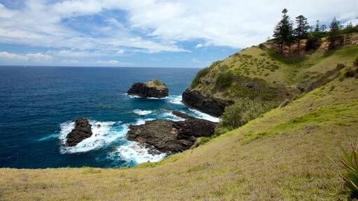 Norfolk Island featuring rocky coastline and general coastal views