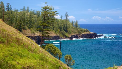 Norfolk Island featuring general coastal views and rocky coastline