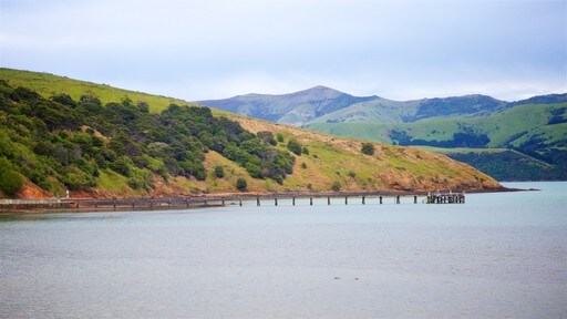 Akaroa toont een meer of poel en vredige uitzichten