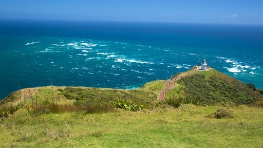Cape Reinga แสดง ชายฝั่งทะเล, ประภาคาร และ ทิวทัศน์