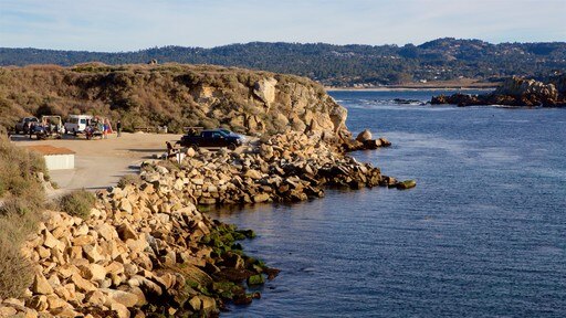 Point Lobos State Reserve inclusief algemene kustgezichten en ruige kustlijn