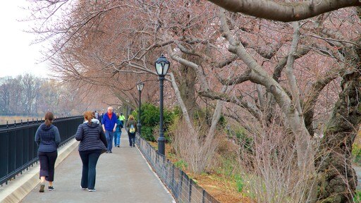 Central Park featuring hiking or walking and wild flowers as well as a small group of people