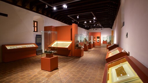 Templo & Ex-Convento de Santo Domingo showing heritage elements and interior views