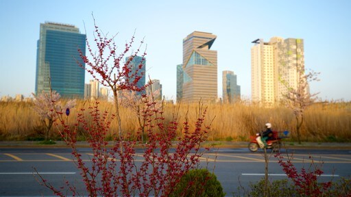 Incheon bevat een wolkenkrabber, wilde bloemen en een zonsondergang