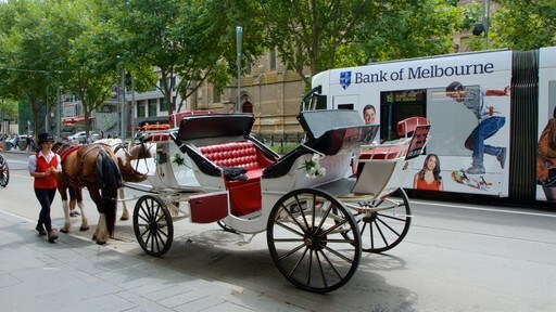 Melbourne Central Business District bevat historisch erfgoed en landdieren