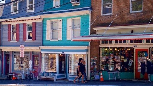 Ellicott City