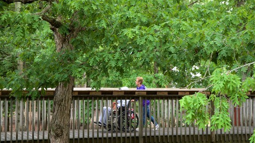 Dierentuin van Cape May toont een brug en ook een stel