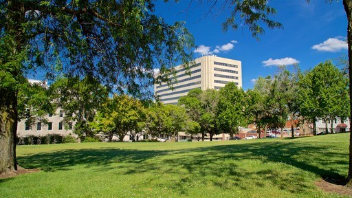 Jefferson City showing a city and a park