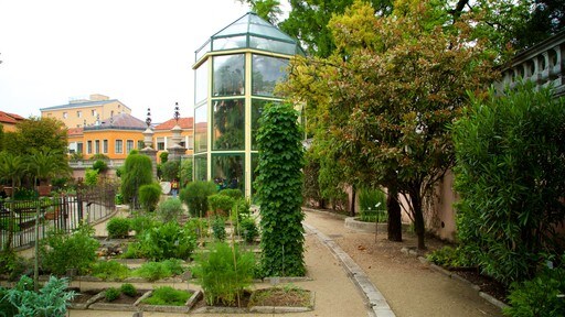 สวนพฤกษชาติ Padua ซึ่งรวมถึง สวน
