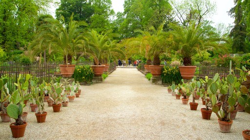 สวนพฤกษชาติ Padua ซึ่งรวมถึง สวนสาธารณะ